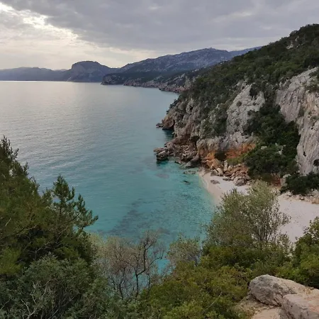 Limone